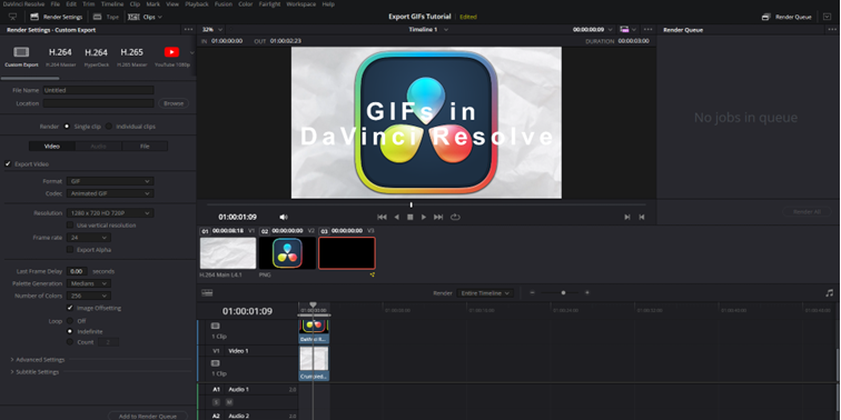DaVinci Resolve GIF export settings as seen in the Deliver panel