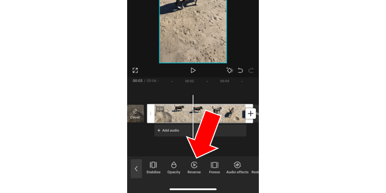 How to Reverse a Video in the CapCut Mobile App